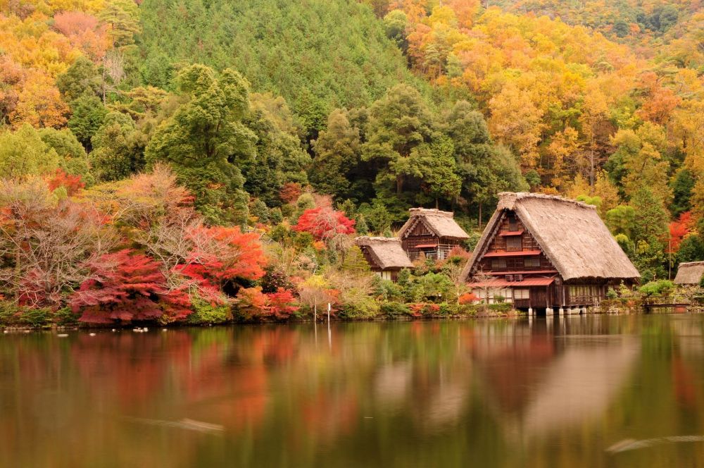La principal atracción de otoño en Japón: el Momijigari